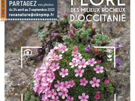 CONCOURS PHOTOS ROCANATURE : objectif flore des milieux rocheux d'Occitanie